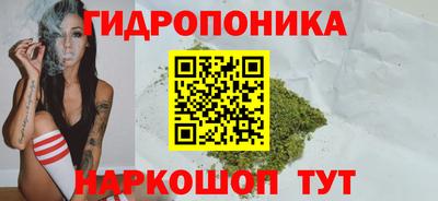 стаф Заволжье