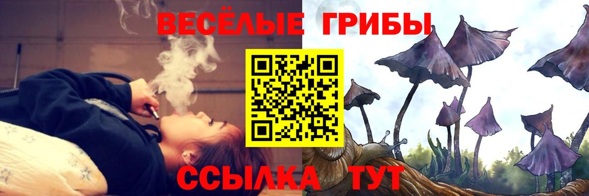 Липецк  Галлюциногенные грибы GOLDEN TEACHER  Вход с VPN  Псилоцибиновые грибы MAGIC MUSHROOMS 